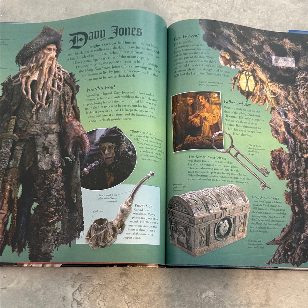 Disney Pirates of the Caribbean Complete Visual Guide - Blue Cover - Picture 4 of 10